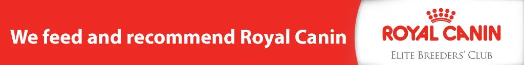 Royal Canin EBCweb_banner